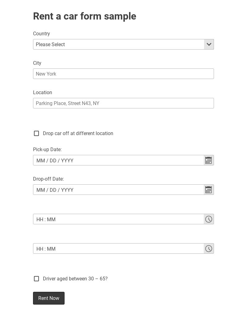 Simple Car Rental Form Template
