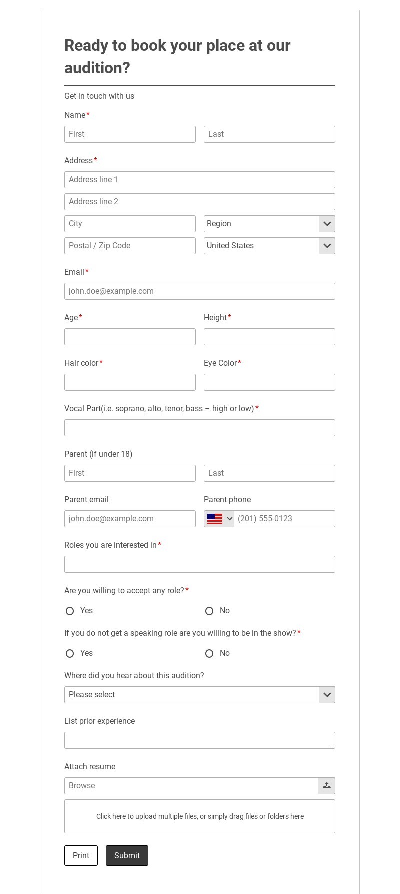 Ready to use Audition Form Sample