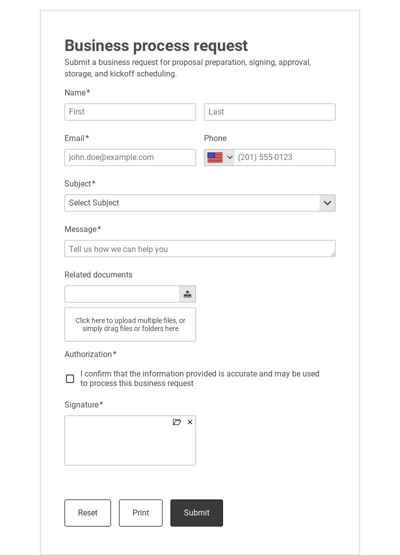Business Process Workflow Template form template