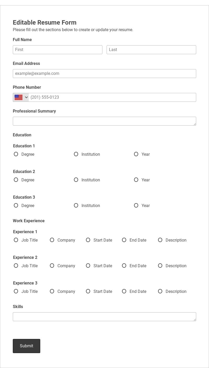 Editable Resume Form Template form template