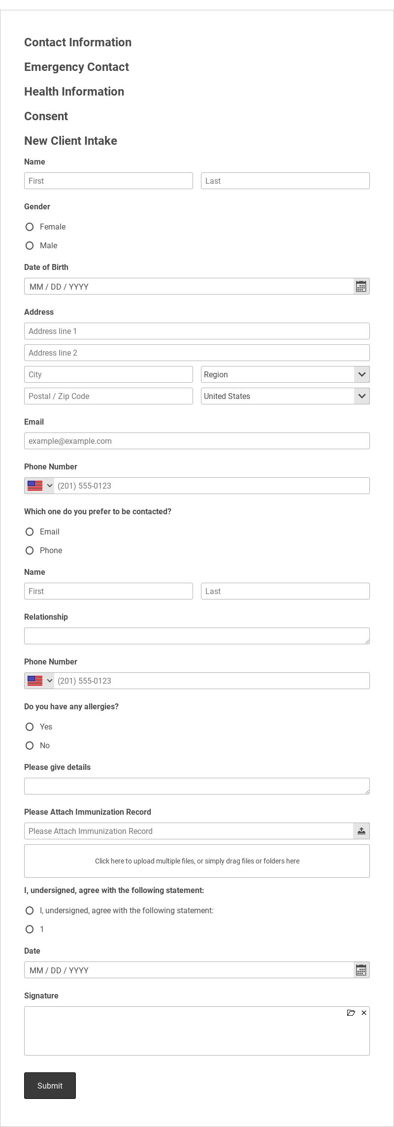 New Client Intake Form Template form template