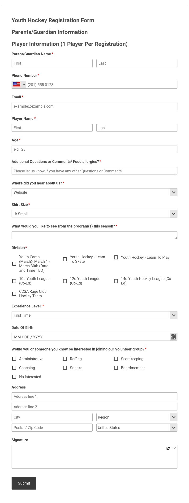 Youth Hockey Registration Form Template form template