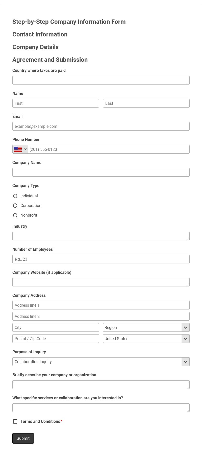 Step-by-Step Company Information Form Template form template
